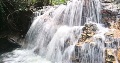  Khoa Phra Si Arisotun Gizemli Güçleri: Altın Yaprakların Dansı ve Işık Tanrısının Gölgesi!