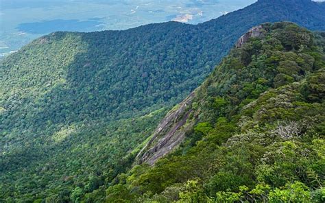  Pemandangan Gunung Ledang yang Memukau: Bir Renkli Yolculuk ve Simgecilik Çağrışımı